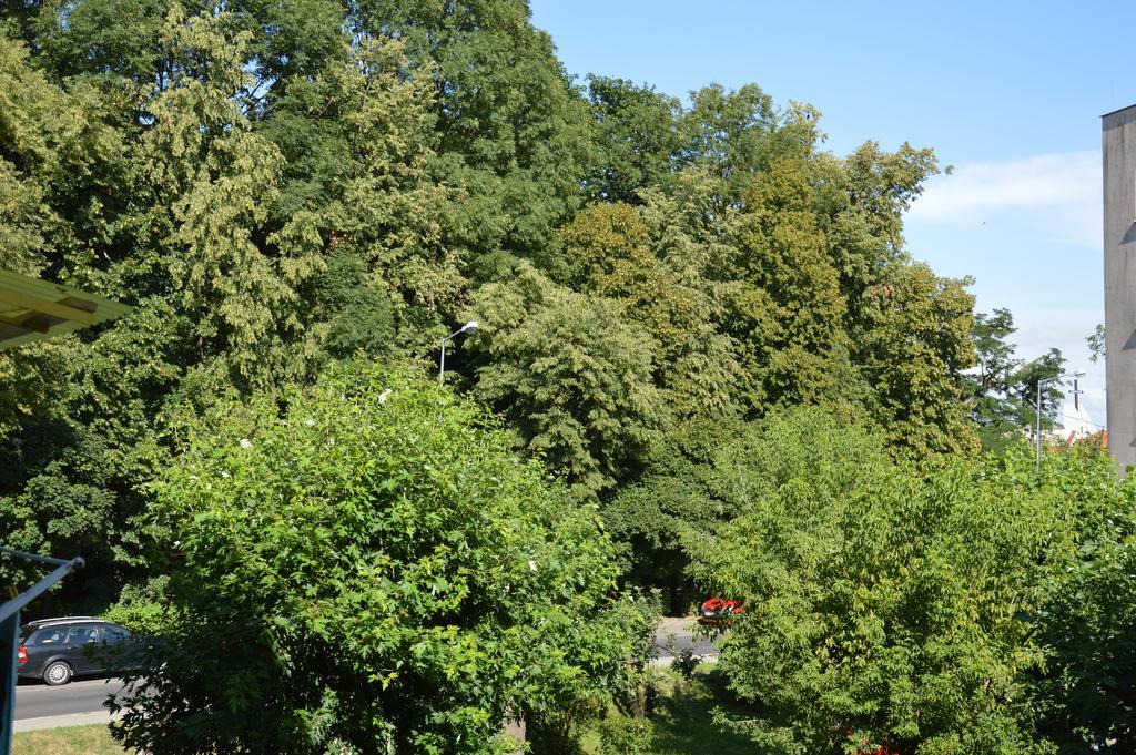 Slowackiego 1 & Ogrodowa 2 Apartamento Sandomierz